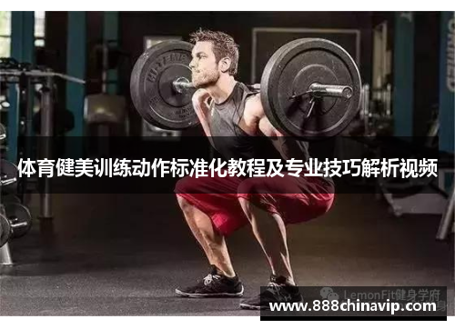 体育健美训练动作标准化教程及专业技巧解析视频